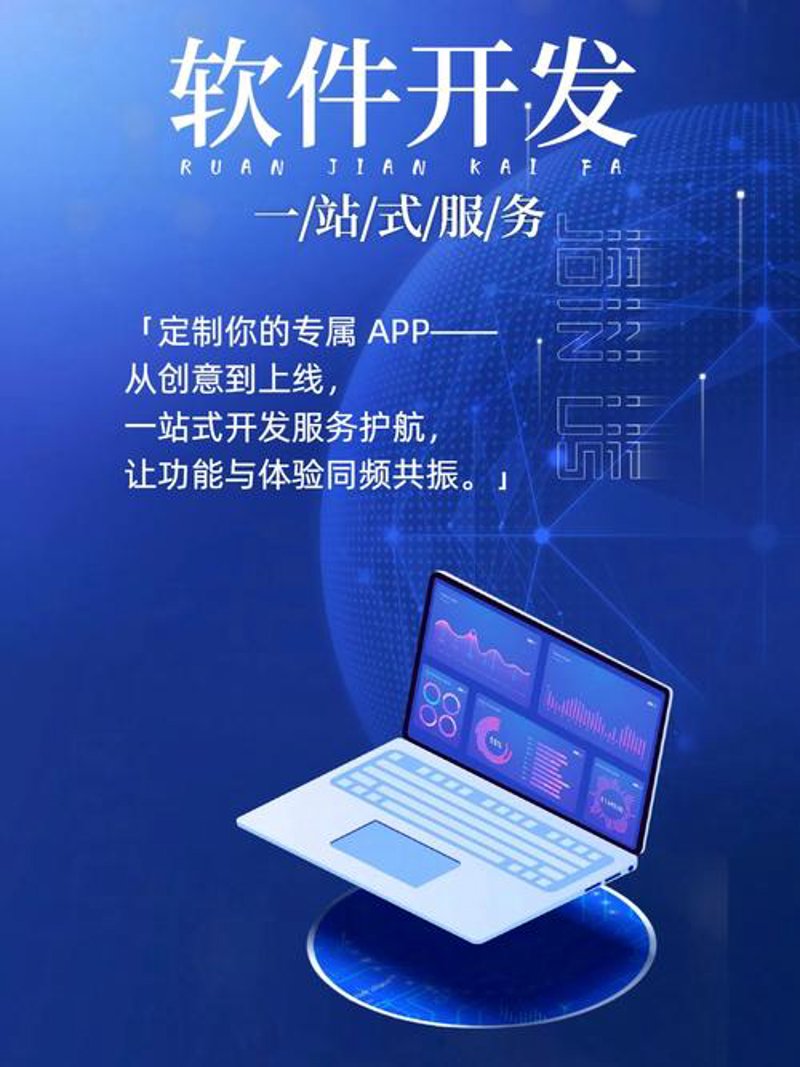 企业信息化：选购指南